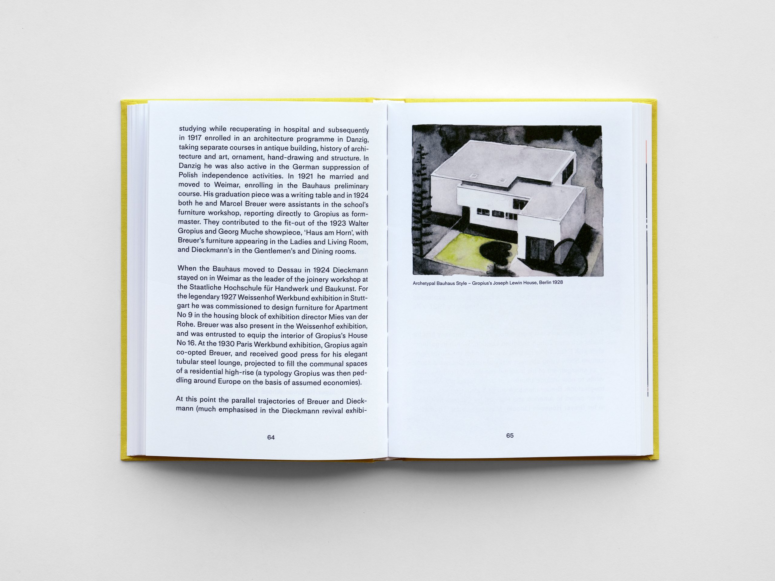Baldness and Modernism, Peter Wilson - Image 7