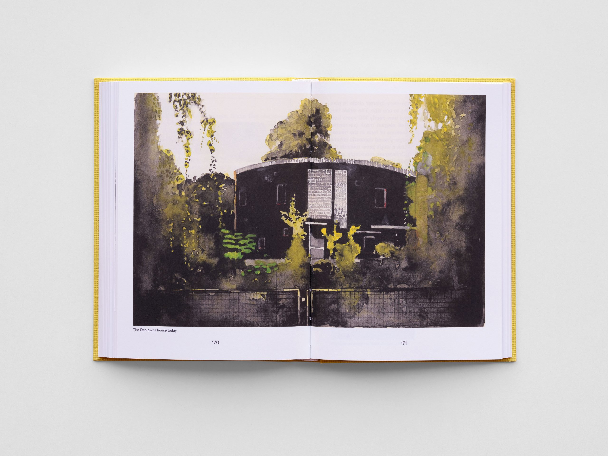 Baldness and Modernism, Peter Wilson - Image 11