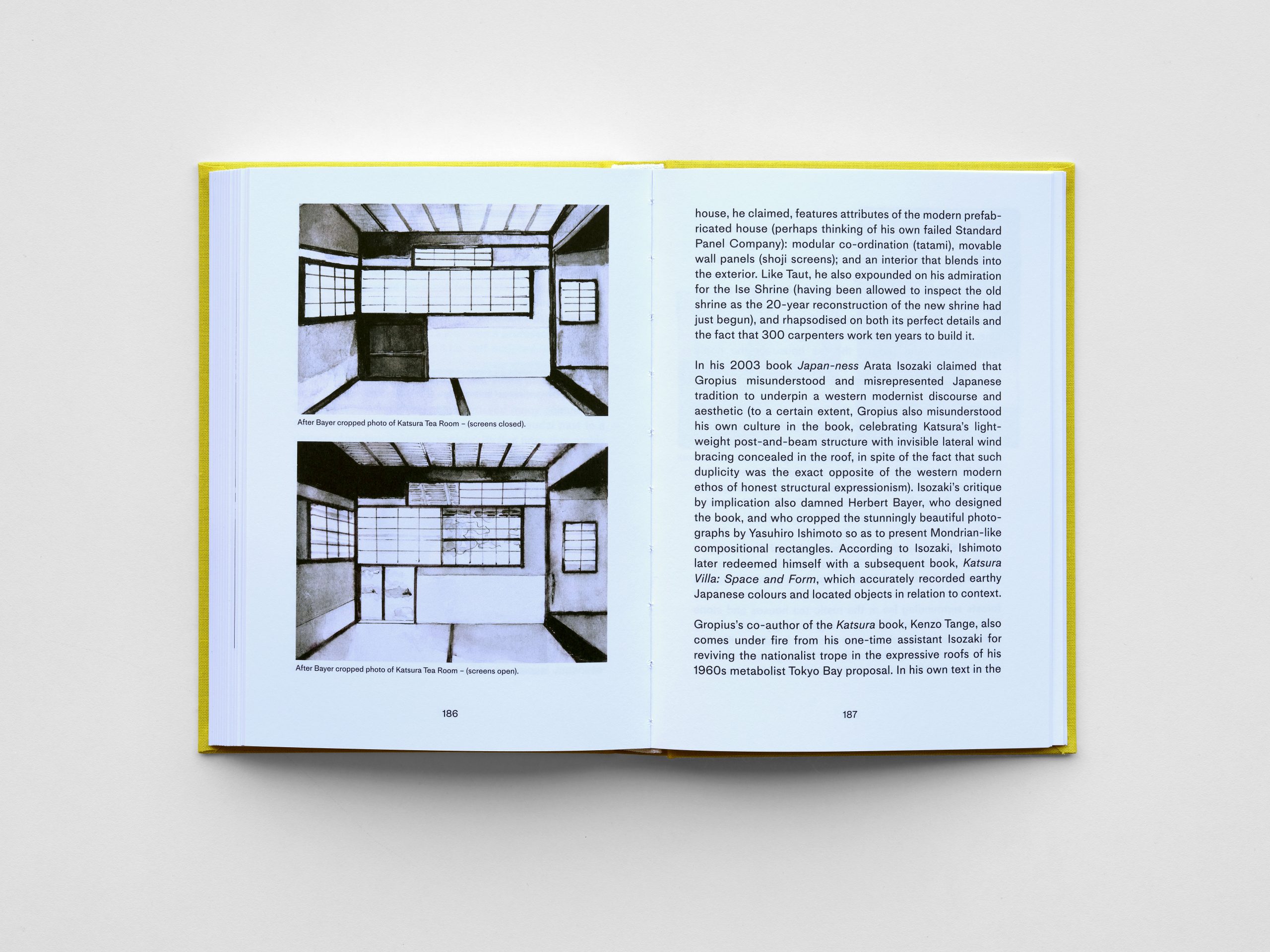 Baldness and Modernism, Peter Wilson - Image 12
