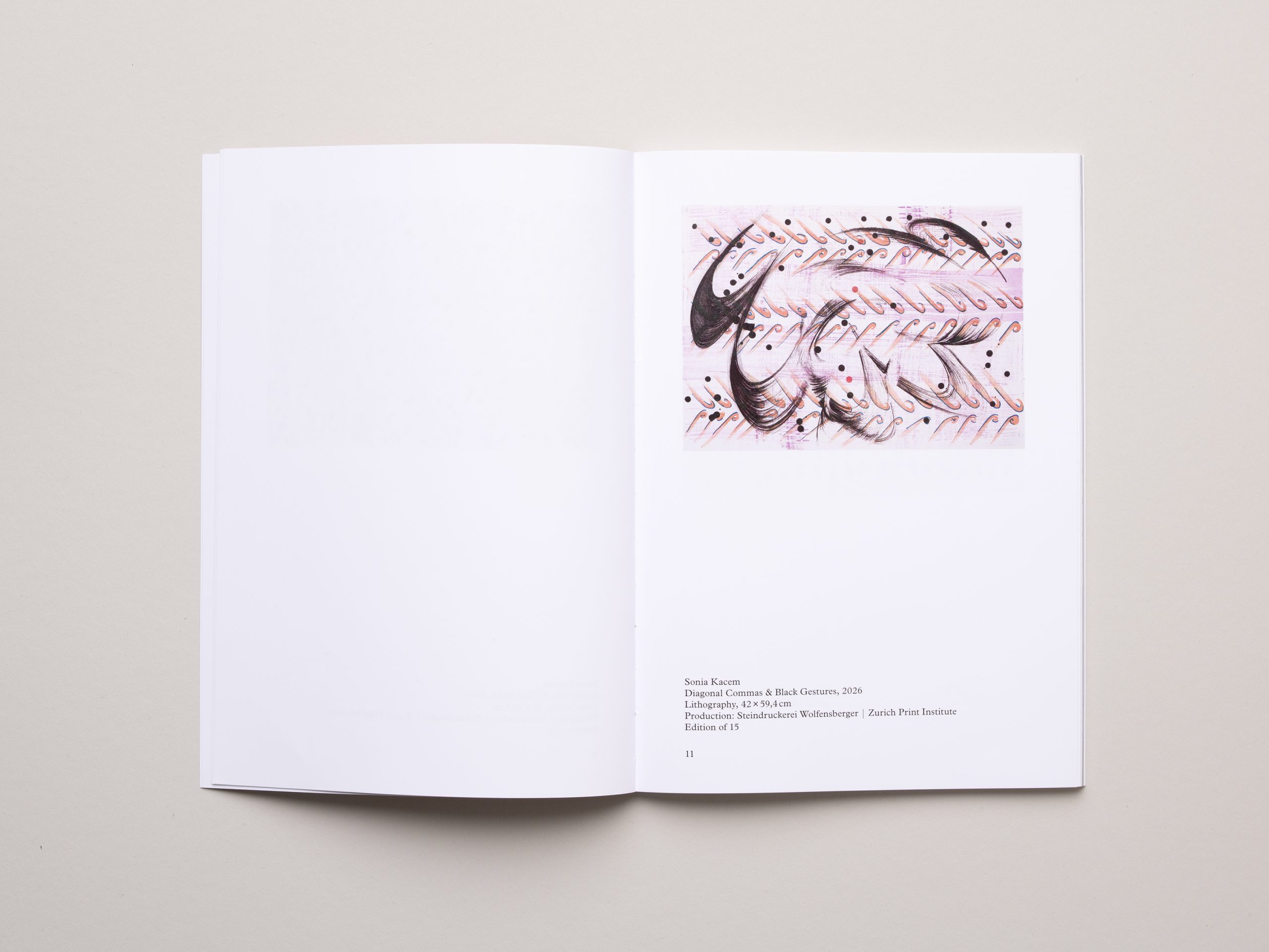 Shifting Surface, Sonia Kacem & Cédric Eisenring - Image 4