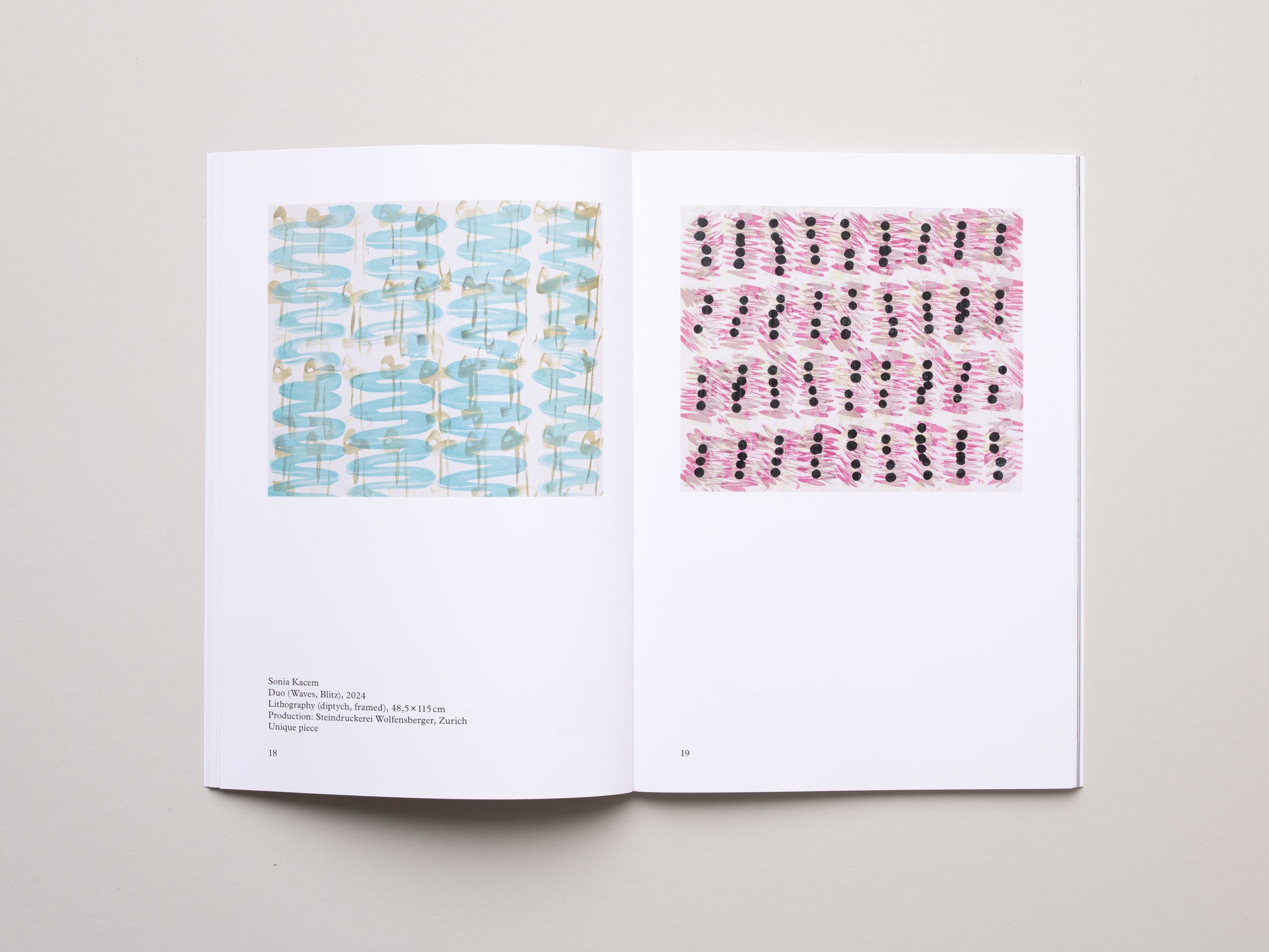 Shifting Surface, Sonia Kacem & Cédric Eisenring - Image 5