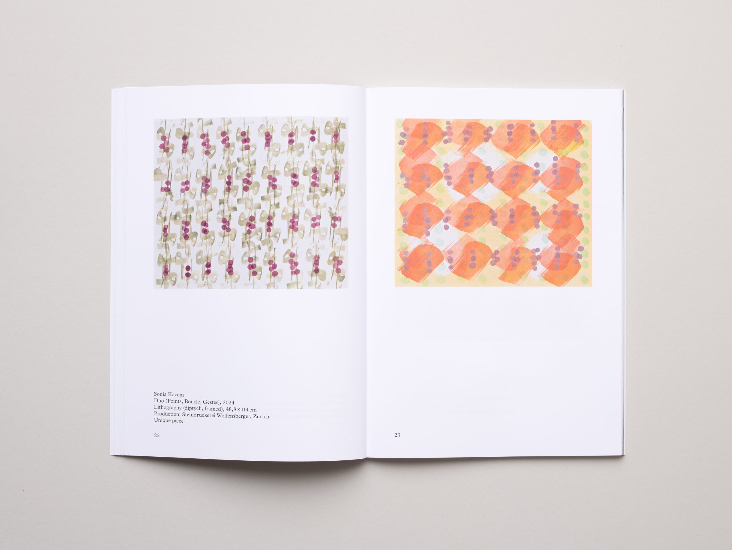 Shifting Surface, Sonia Kacem & Cédric Eisenring - Image 6